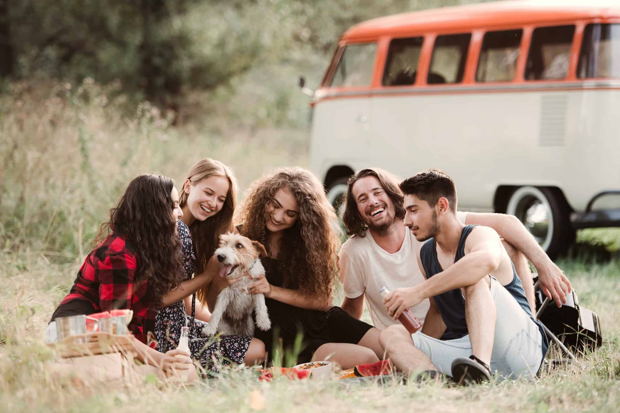 A group of young friends with a dog sitting on grass on a roadtrip through countryside